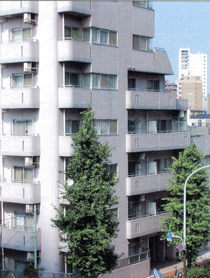 パール上池袋 203号室